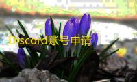 Discord账号申请全流程,邮箱验证教程