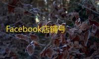 Facebook店铺号资源,精准客源到手
