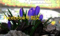 Facebook号购买全流程,看完再下手
