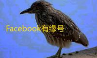 Facebook有缘号操作指南,轻松扩展人脉