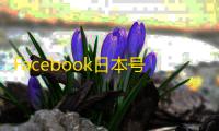 Facebook日本号出售方法,简单几步搞定