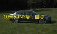 10米买INS号,自助下单超划算