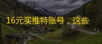 16元买推特账号,这些聊天记录让人后怕