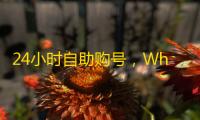 24小时自助购号,WhatsApp推特账号现成可用