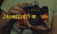 24小时自助下单,WhatsApp推特账号现成供应
