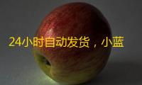 24小时自动发货,小蓝鸟号购买全步骤