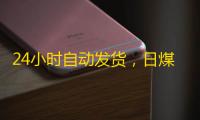 24小时自动发货,日煤炉账号到手无忧