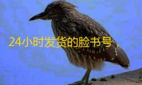 24小时发货的脸书号,推广运营不用愁
