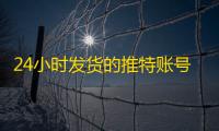 24小时发货的推特账号购买教程,一看就会