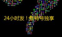24小时发!推特号独享ID稳定到货