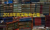 2018年真实账号合集,登录无忧有保障