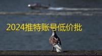 2024推特账号低价批发教程,自动发货