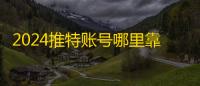2024推特账号哪里靠谱?24小时发货实测
