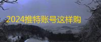 2024推特账号这样购,24小时发货真方便