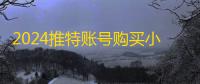 2024推特账号购买小技巧,两元自动发