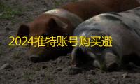 2024推特账号购买避坑指南,两元批发