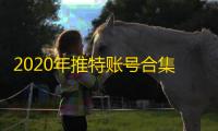 2020年推特账号合集,新手必藏