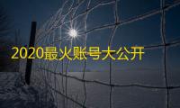 2020最火账号大公开,直接拿走不谢